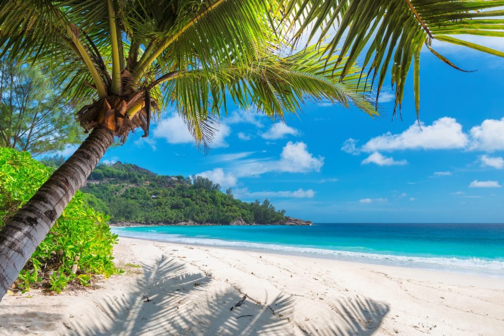 All Inclusive Resort Destination _ Jamaica